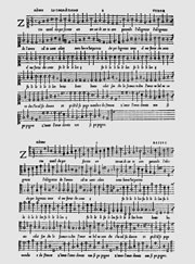 canz_2.jpg (16579 byte)